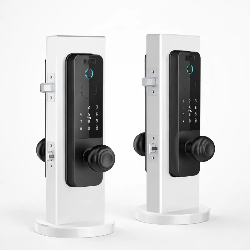 Smart Door Lock Wifi - Houten deurslot met gezichtsherkenning, slimme slot,